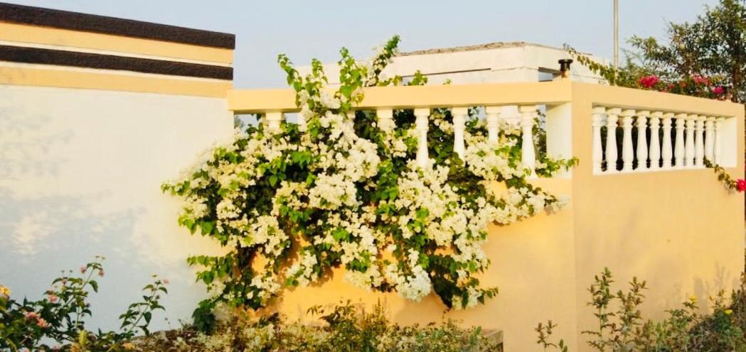 Royal Meadows - Igatpuri Bungalow B Екстериор снимка